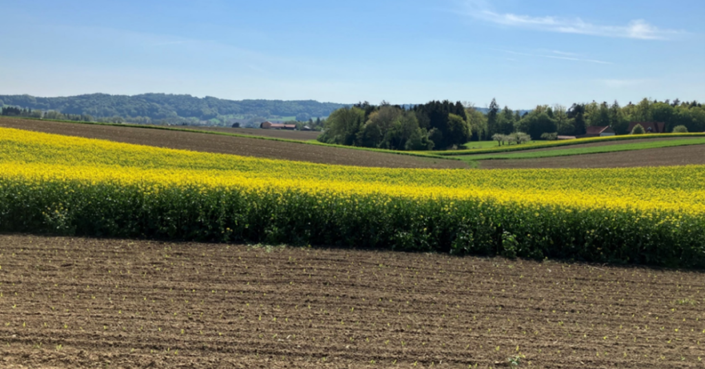 Story image for Meet the NBSOIL demo sites selected to test soil health restoration with nature-based solutions