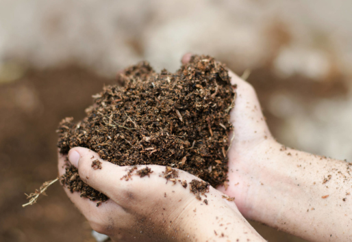Event image of HuMUS Webinar: Soil Health Training