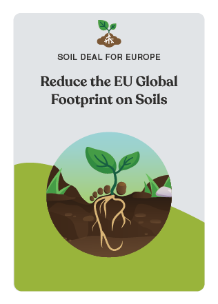 NBS_VC_EU Soil Mission-7