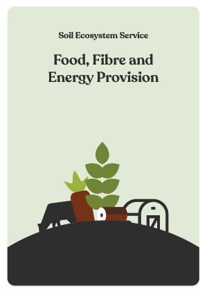 NBS_VC_Ecosystem Services-1