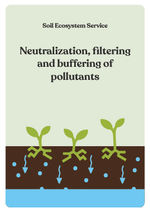 NBS_VC_Ecosystem Services-5
