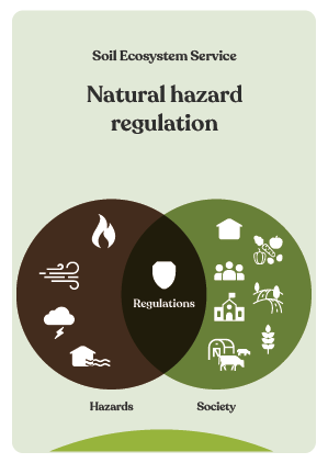 NBS_VC_Ecosystem Services-7
