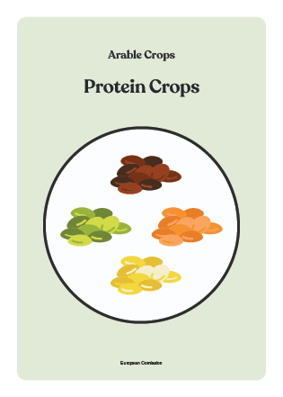 NBS_VC_Land Use_Agriculture-3