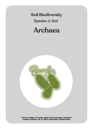 NBS_VC_Soil Biodiversity-11