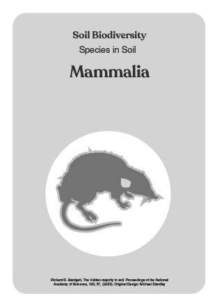 NBS_VC_Soil Biodiversity-12