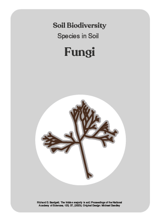 NBS_VC_Soil Biodiversity-2