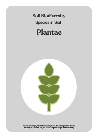 NBS_VC_Soil Biodiversity-3