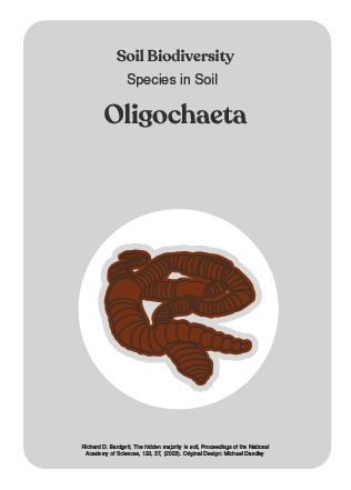 NBS_VC_Soil Biodiversity-4