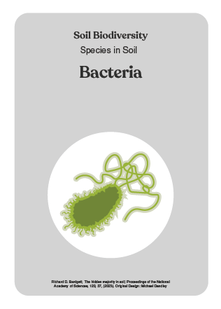 NBS_VC_Soil Biodiversity-5