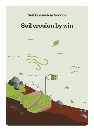 NBS_VC_Soil Threats-74