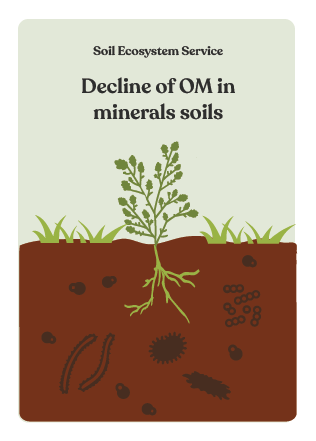 NBS_VC_Soil Threats-76