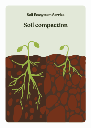 NBS_VC_Soil Threats-77