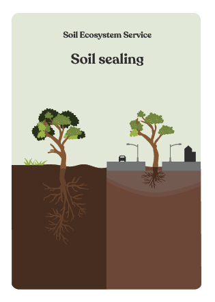 NBS_VC_Soil Threats-78
