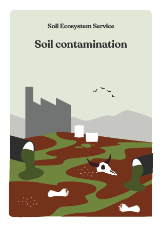 NBS_VC_Soil Threats-79