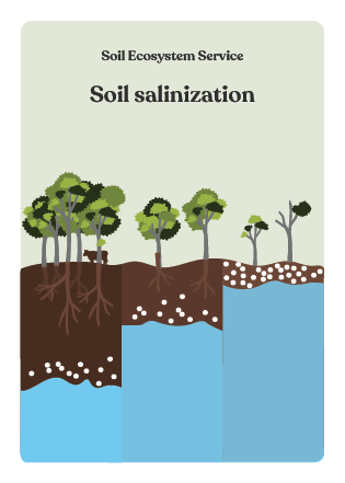 NBS_VC_Soil Threats-80