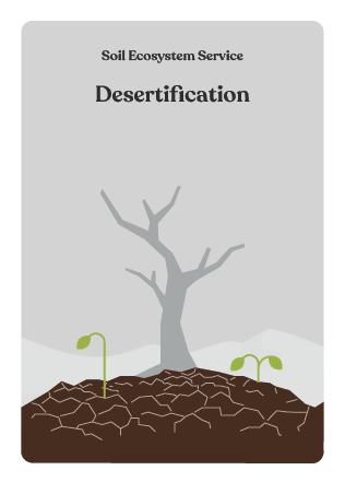 NBS_VC_Soil Threats-81