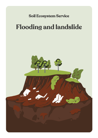 NBS_VC_Soil Threats-82