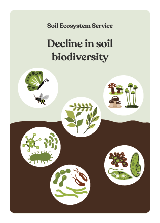 NBS_VC_Soil Threats-83