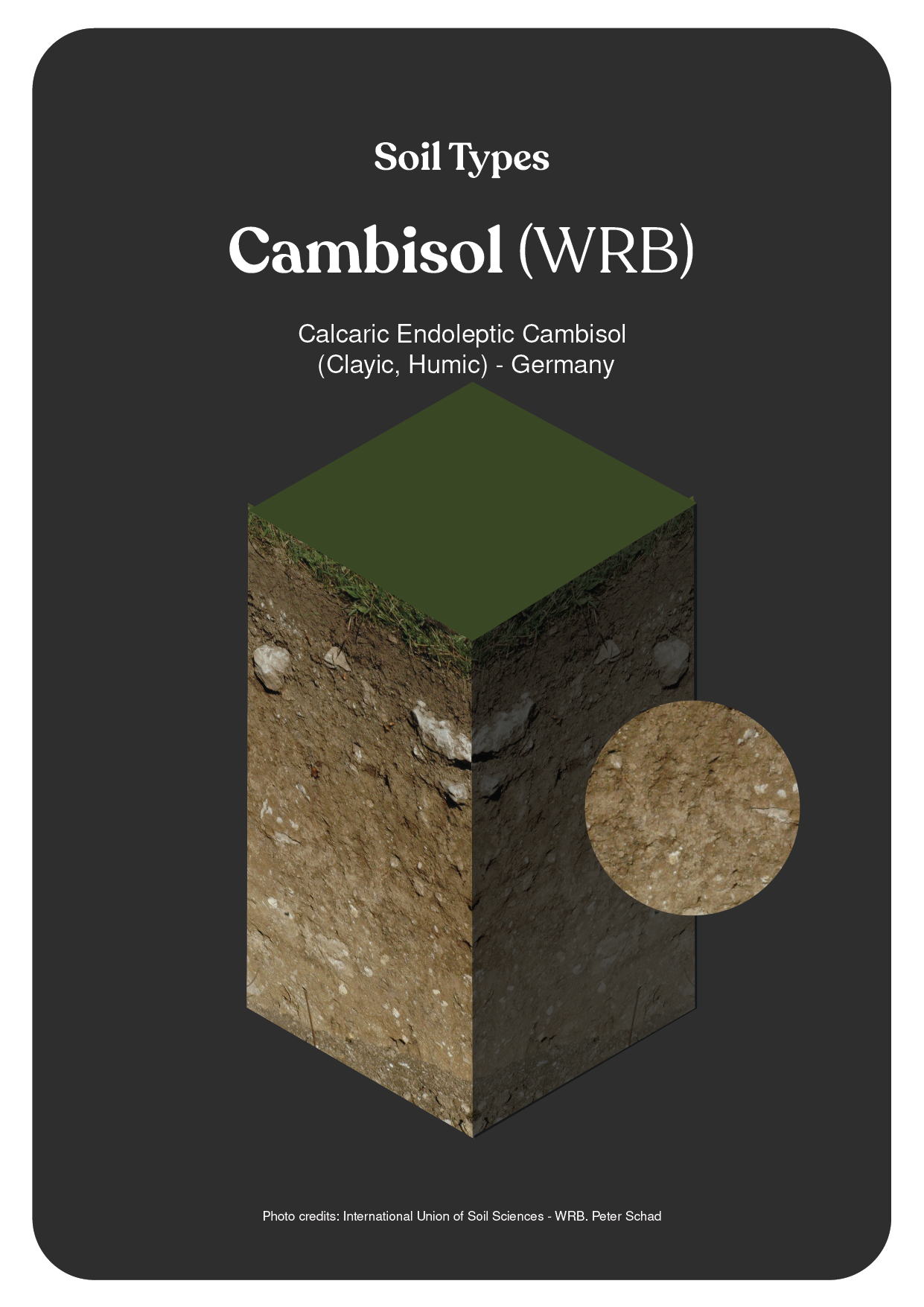 NBS_VC_Soil Types-41